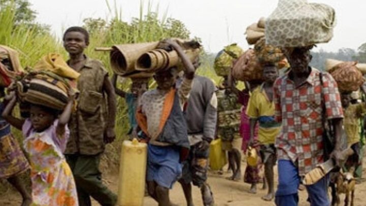 RDC: A qui profite l’insécurité qui prend une allure inquiétante  à l’Est après les élections présidentielles et  legislatives RDC: A qui profite l’insécurité qui prend une allure inquiétante  à l’Est après les élections présidentielles et  legislatives