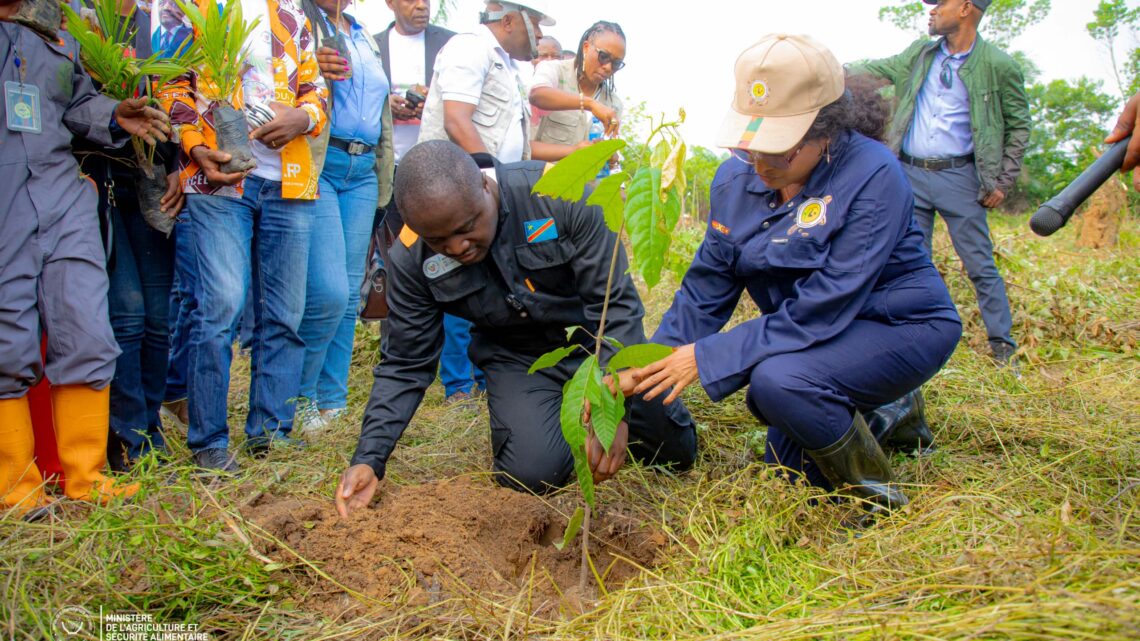 Le Ministre de l&rsquo;Agiculture Muhindo Nzangi concrétise sa parole en lançant la planification des cultures pérennes en RDC